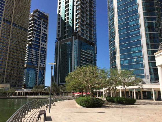 Mosaic Properties