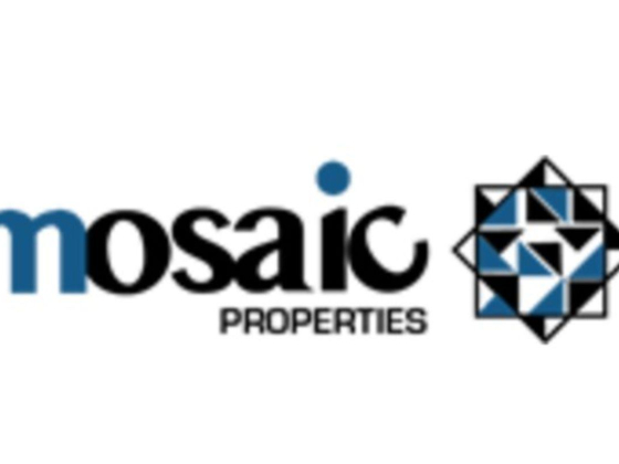 Mosaic Properties