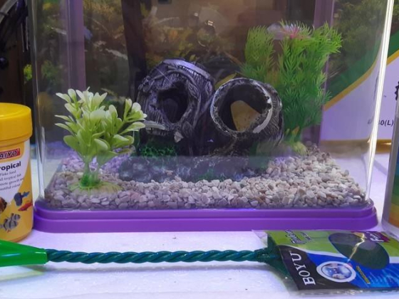 Ahli Aquarium