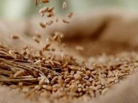Saad Al Saeed Foods