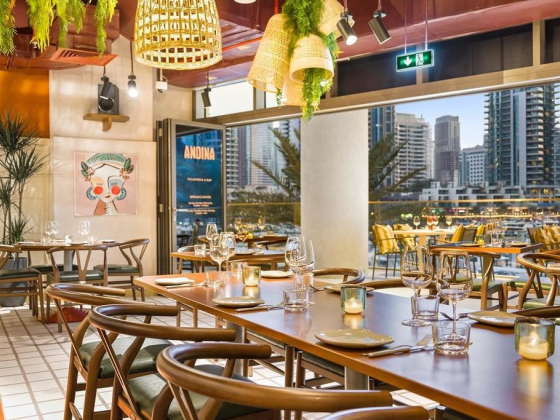 Andina Ceviche Restaurant