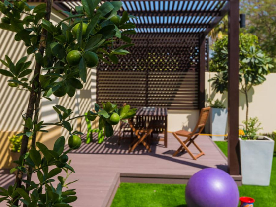 Ali Raza Landscape & Gardening