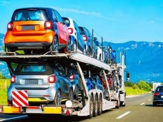 Milan Gold International Transportation