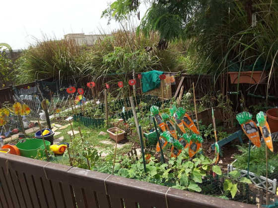 Home Grown Children"s Eco Nursery