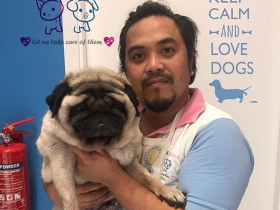 Paws & Relax Pets Salon L.l.c