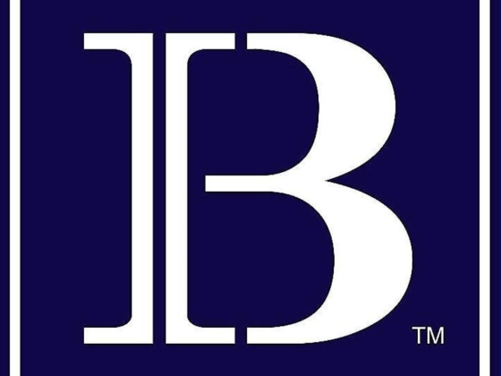 Bright Brain International Accounting & Bookkeeping