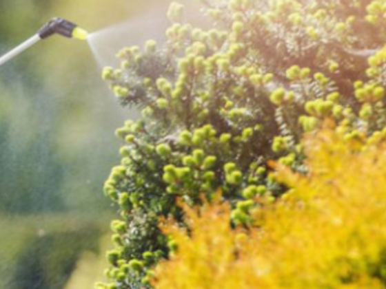 Green Acres Cleaning Services