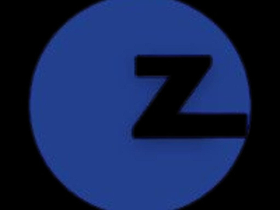 Zigy