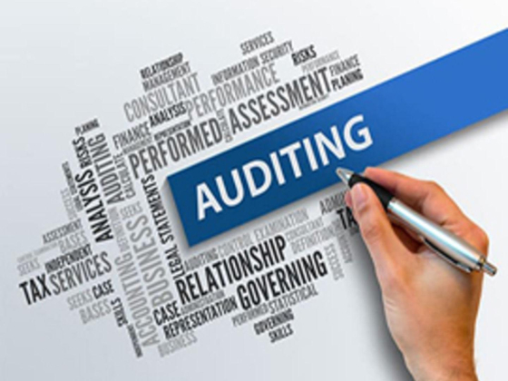 Youssry Adel Tax Consultant