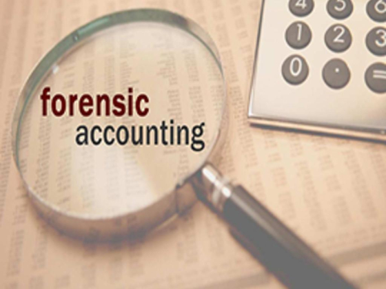 Youssry Adel Tax Consultant