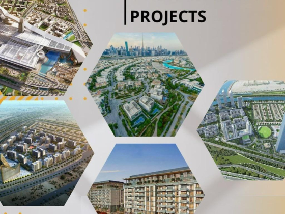 Saray Palm Real Estate