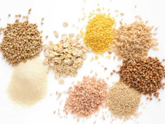Naveed Iqbal Food Stuff Trading