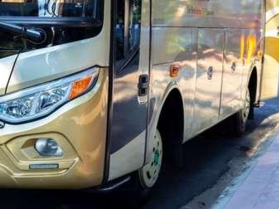 Forests Bus Rental