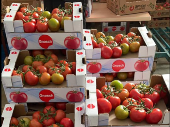 Gnosch Foodstuff Trading