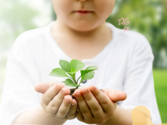 Green Roots Early Learning Center