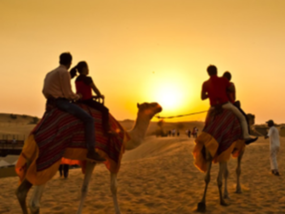 Lenhart Travel & Tourism