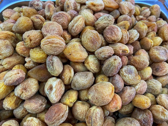 Walnuts General Trading