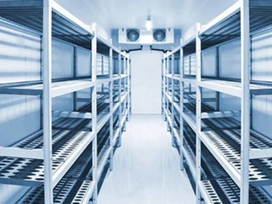Chillex Technical Services