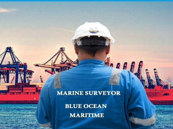 Blue Ocean Maritime Consultancies Services