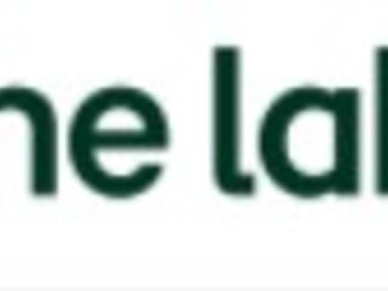 Pine Labs Payments Services Provider