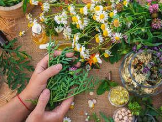 Wardat Alzatar Medical Herbs