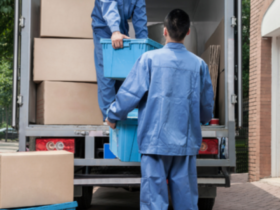 Wrap It Cargo Packaging