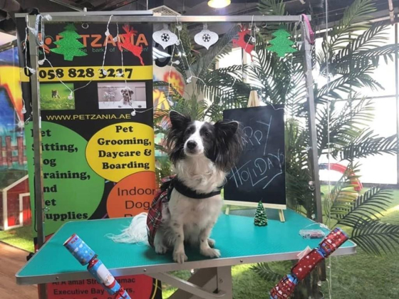 Petzania