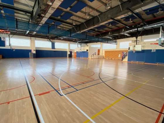 Wise Basketball Academy