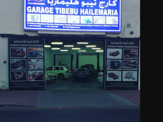 Tibebu Hailemaria Garage