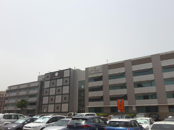 Pegasi Communications