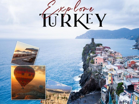 Bluefin Tourism L.l.c