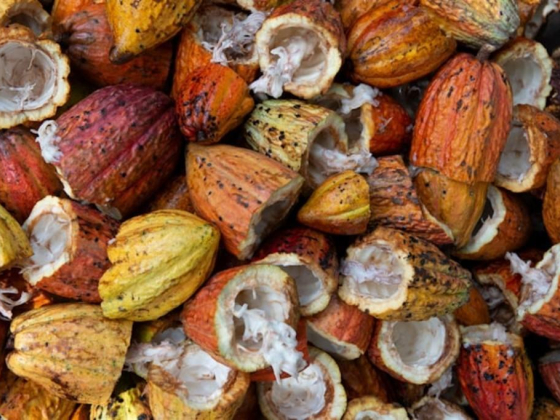 Al Raiqa Foodstuff Trading