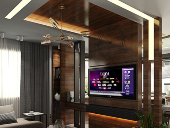Platinum Plus Decoration Design & Implementation