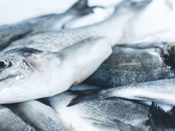 Al Dusari Fish Stall