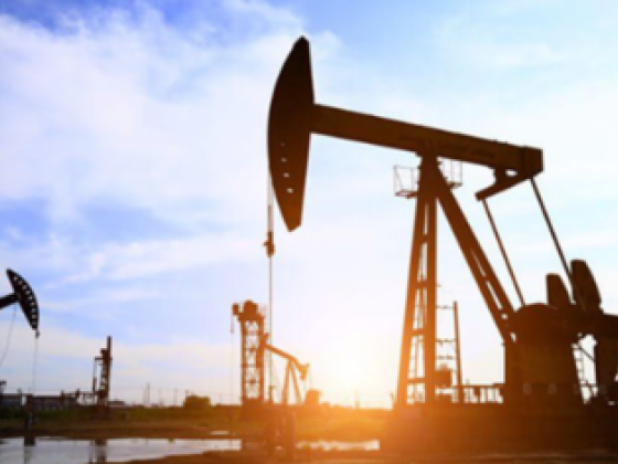 White Field Petroleum