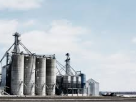 White Field Petroleum