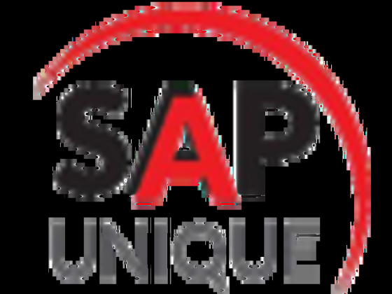 SAP Unique Transport