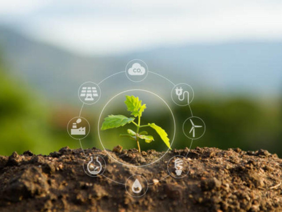 Ista Energy Services
