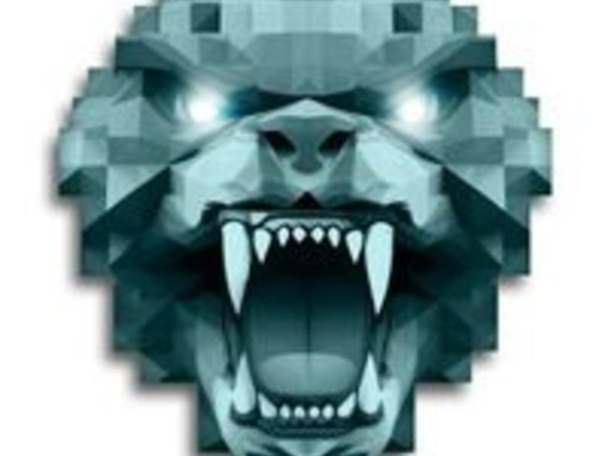 Wild Pixel