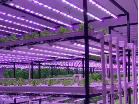 Skyfield Agritech Green Houses & Equipment Trading