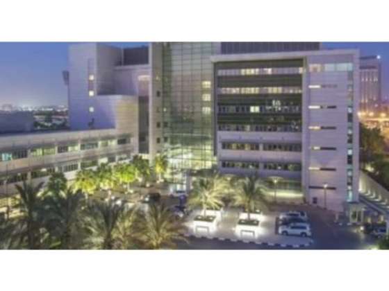 American Hospital Clinics Al Barsha