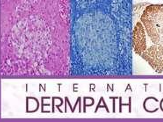 International Dermpath Consult