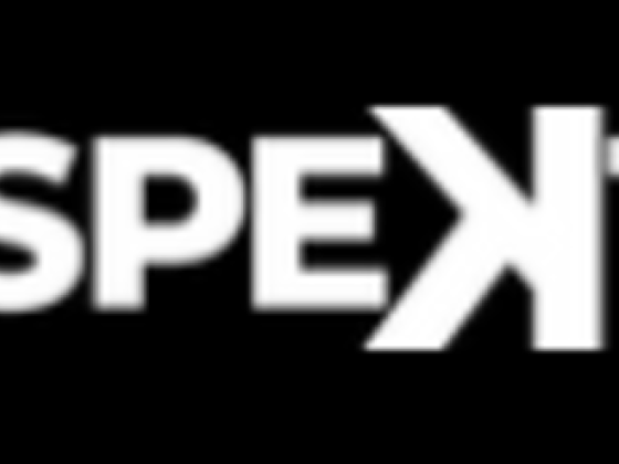 Perspektive Agency