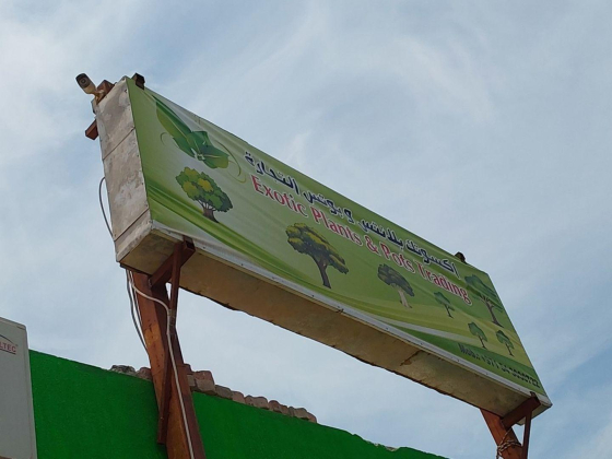 Exotic Plants & Pots Trading