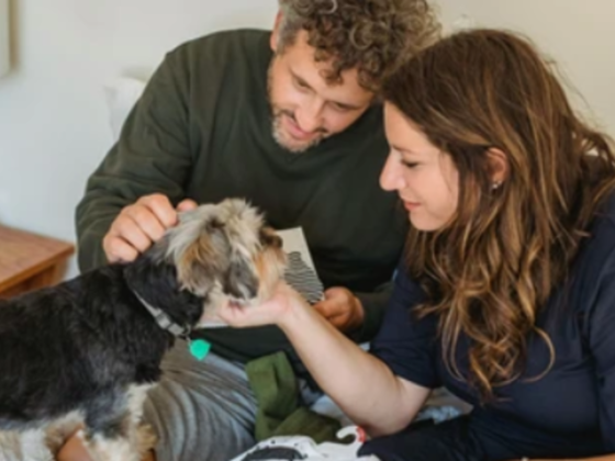 Super Vet Pet Clinic L.l.c