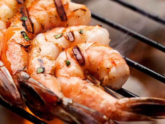 Pescado Seafood Grills