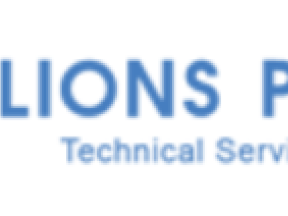 Lions Pro Technical Services