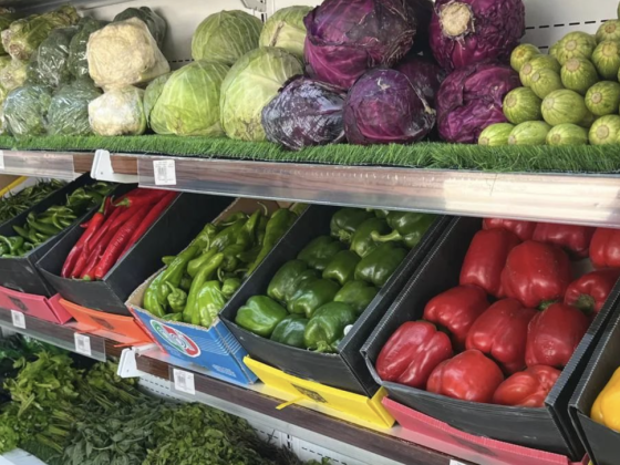 Rich Garden Food Trading