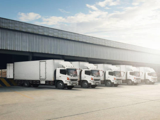 Al Hammama Heavy & Light Trucks Transport