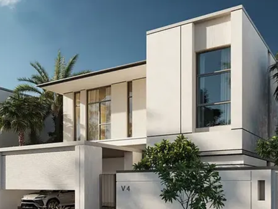 Luxury Cube Real Estate